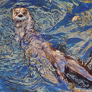 thumbnail of Fluid
