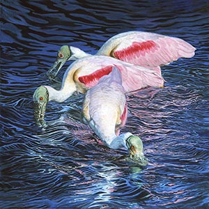 thumbnail of A Feast For The Eyes